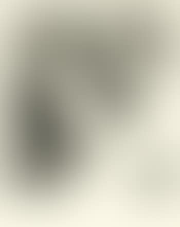 Portfolio. Die 1. Ära (preview)