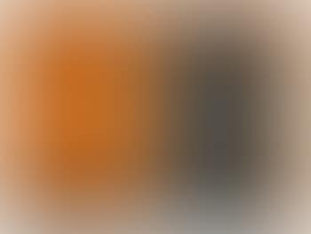 2 pictures on lead: Untitled (No. 12 and 13) (preview)