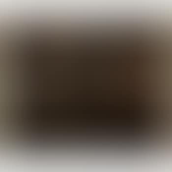 PHORA A (preview)