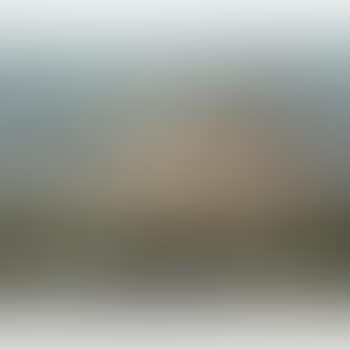 A British frigate on-the-wind (preview)