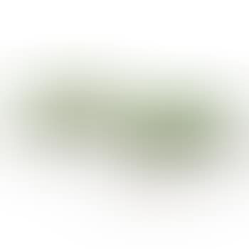 Pair Of Benches (preview)
