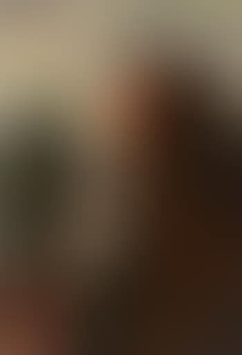 Die Rabenburg (preview)