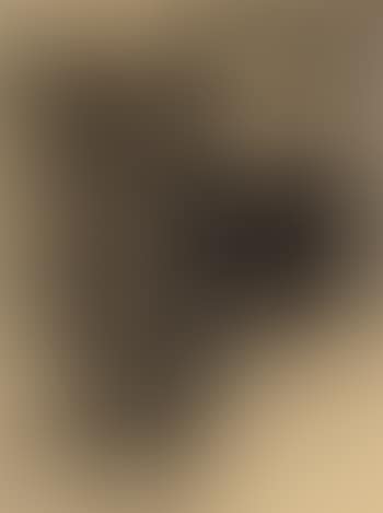 Dromedar (preview)