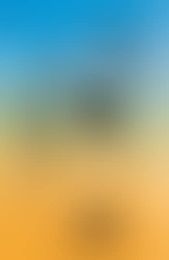 Zu: Max Ernst, Paramythes (preview)