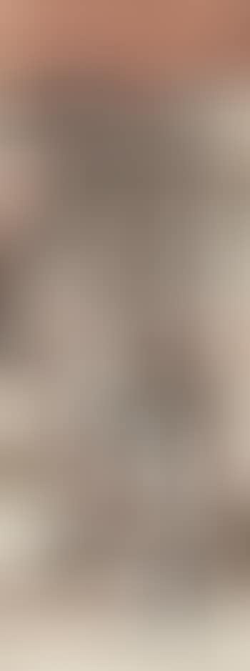 Die Heilige Familie (preview)