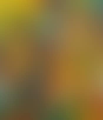 Ohne Titel (preview)