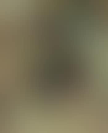Gloucester (preview)