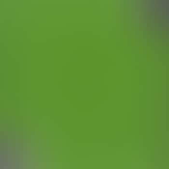 Studio per contrappunto nel verde (preview)