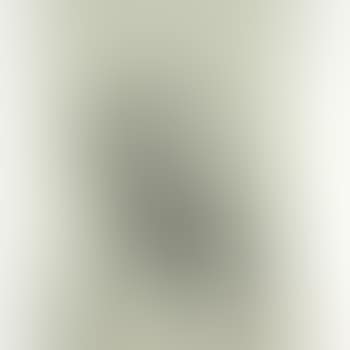 Untitled (Two headed woman) (preview)