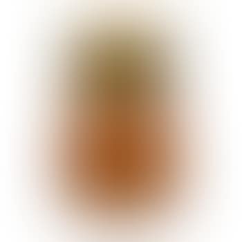 Vase (preview)