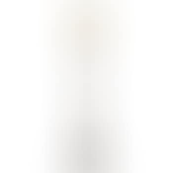 Floor Lamp With Steuben Aurene Glass Shade by Gustav Stickley (preview)