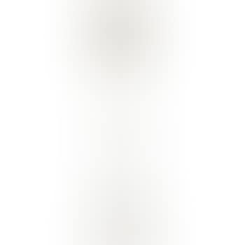 Floor Lamp With Acid-etched, Pierced, And Lined Shade (preview)