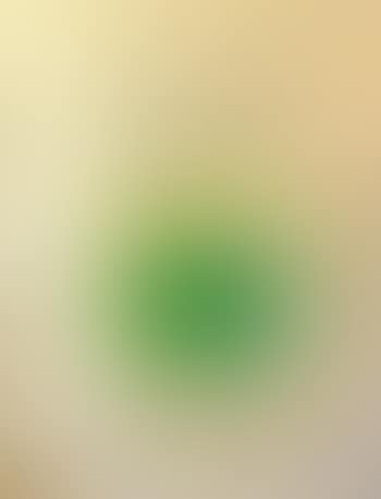 [Untitled] (preview)