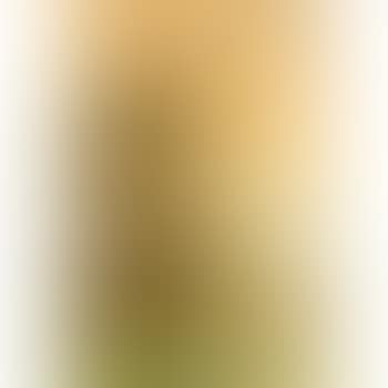 Sheep in a landscape, a pair (preview)