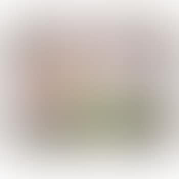 Untitled (Airplane) (preview)