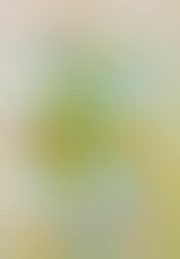 Still Life (preview)