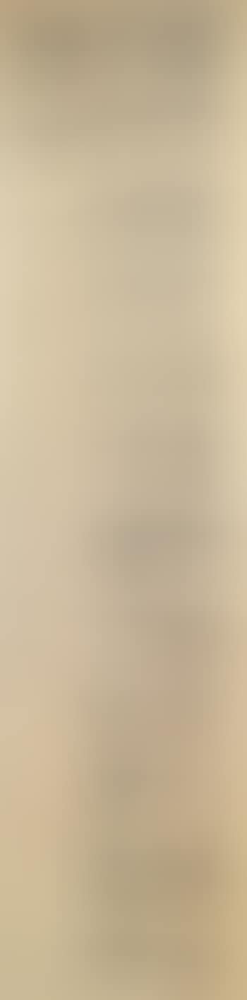 Calligraphy in clerical script (preview)