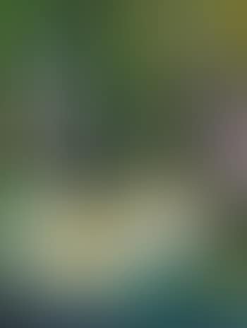 Untitled (Reclining Nude) (preview)