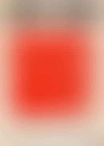 The red bandana (preview)