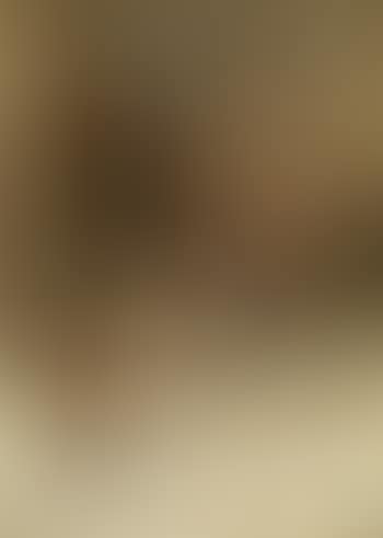 Winterlandschaft (preview)