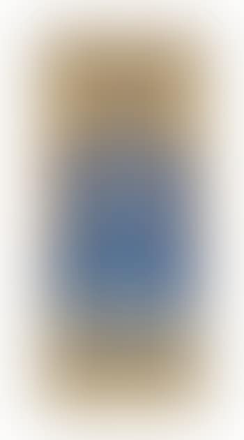 Portrait of an Official (preview)