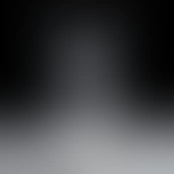 Vase (preview)