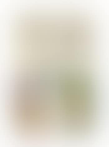 Untitled (Study for Cactus Landscape); A Woman at her Mirror with her Attendants; Notre Dame by Mohan Sharma (preview)