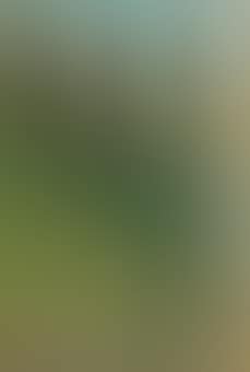 Gardasee mit Blick auf den Monte Baldo (preview)