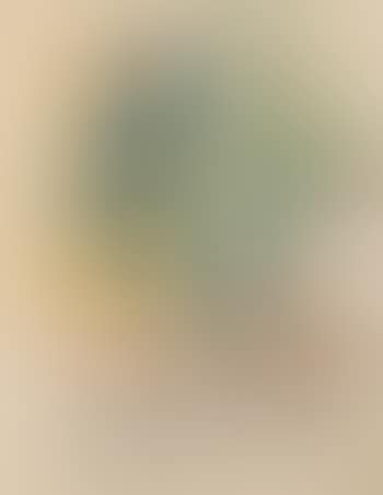 Selbstbildnis mit Balalaika (preview)
