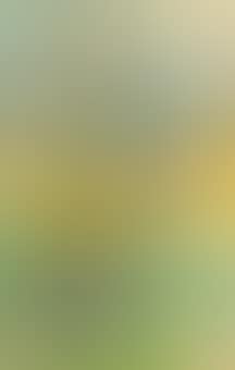 Stilleben mit Akt (preview)