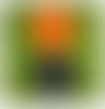 Two Oranges (preview)