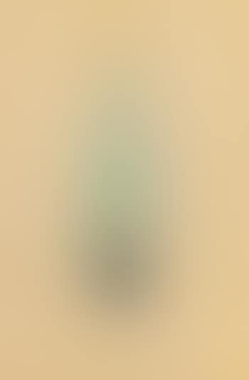 Untitled (Brush) (preview)