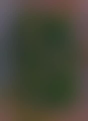 Sky (No 2) (preview)