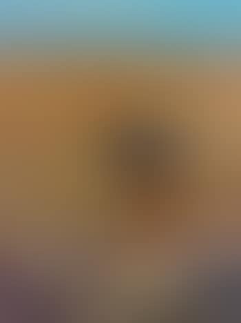 Untitled (Cowboy) (preview)
