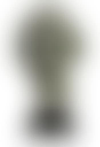 Professor Albert Einstein (preview)