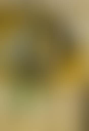 Still life with fish (preview)