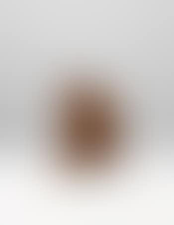 MEME XVIII, 2009 (preview)