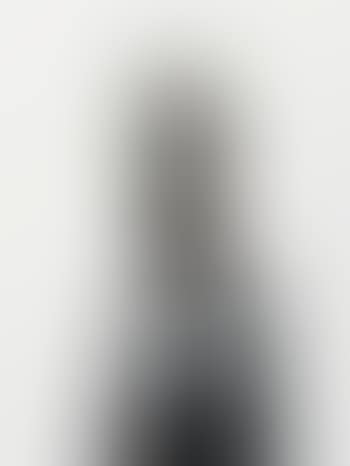 Femme Voilée (preview)