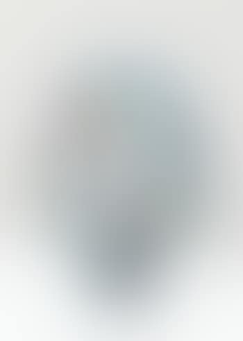 Vase Anémones Pulsatiles (preview)