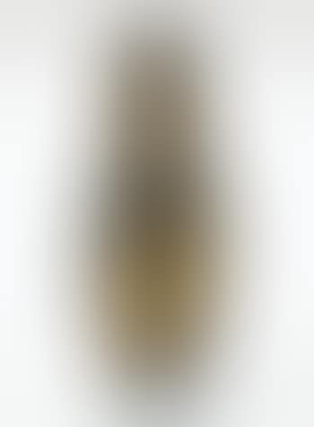 Vase Bouteille (preview)