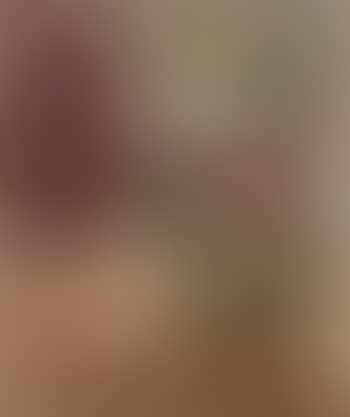 Nature morte au bouquet de roses (preview)