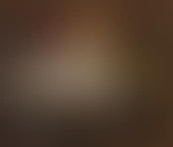 Untitled (seven horses) (preview)