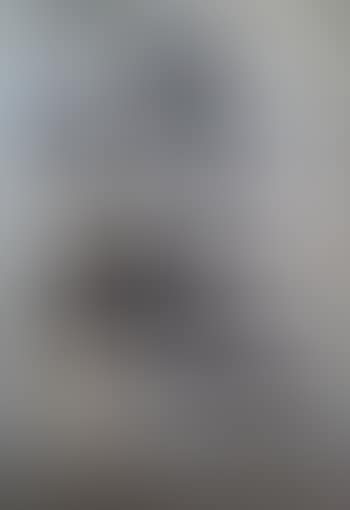 Lufthans, Berlin (preview)