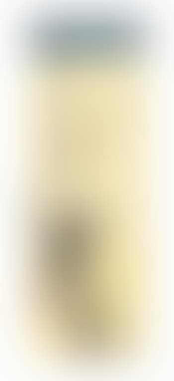 Red-cheeked bird and red plum blossoms, lower ground yellow. Canary and blue wisteria (preview)