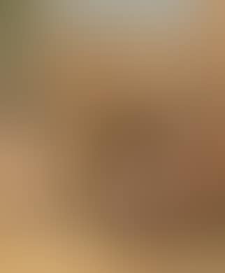 Oriental Bazaar (preview)