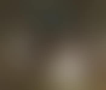 Scene of gallantry in the park (preview)