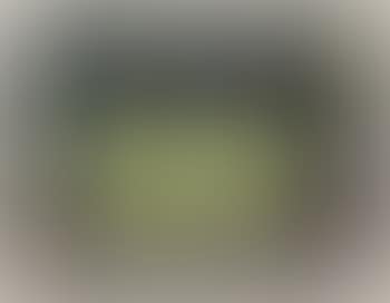 Still Life with Pears (preview)
