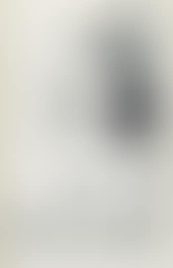 Mirabelle (preview)