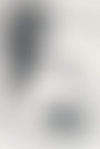 Edith; Colt; Untitled (preview)
