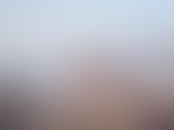 New York skyline from brooklyn heights (preview)